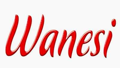 Wanesi